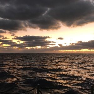 Meet your Posher, Ray